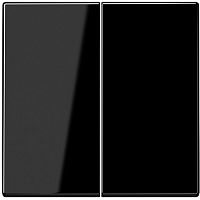 Лицевая панель Jung LS990 для 2-кл. выключателя черный картинка